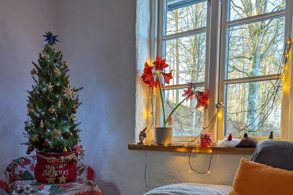 Beautiful And Cosy House Near The Lake Olofstrom Екстер'єр фото